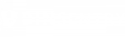 Logo-BinSentry